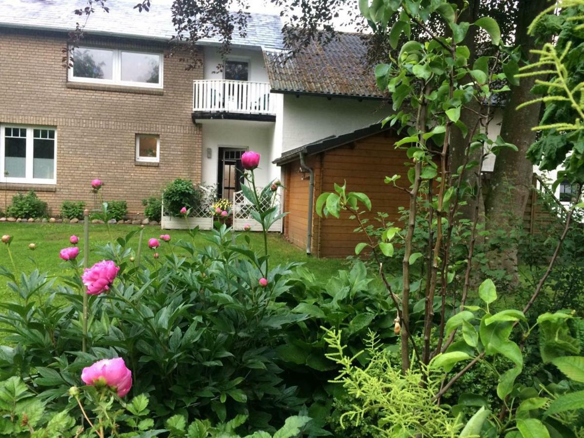 Fewo an der Mühle Hasselberg  Exterior foto